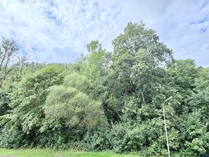 Unclassified image, 3 of 10, button - Apartment "Lutterblick" with Mountain View, Balcony, and Wi-Fi (Bad Lauterberg im Harz)