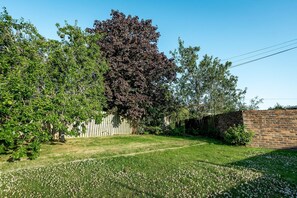 A grassy yard with a wooden fence, a brick wall, and a variety of trees. - Warrack Street (No 37) | St Andrews (St Andrews)