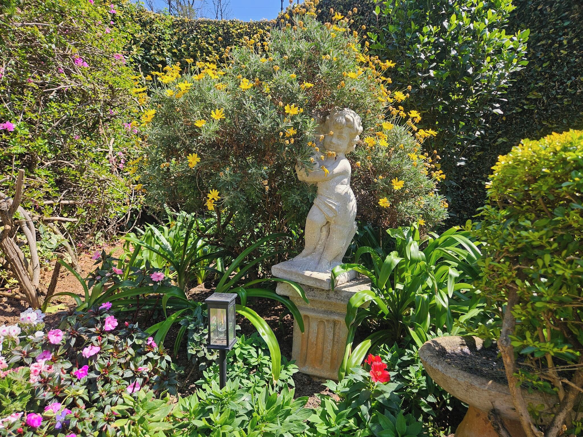 A garden with a statue, various plants, and a solar-powered light post.