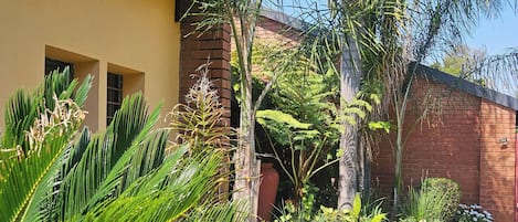 A garden with a variety of plants, a stone pathway, and a building with a yellow wall and windows.
