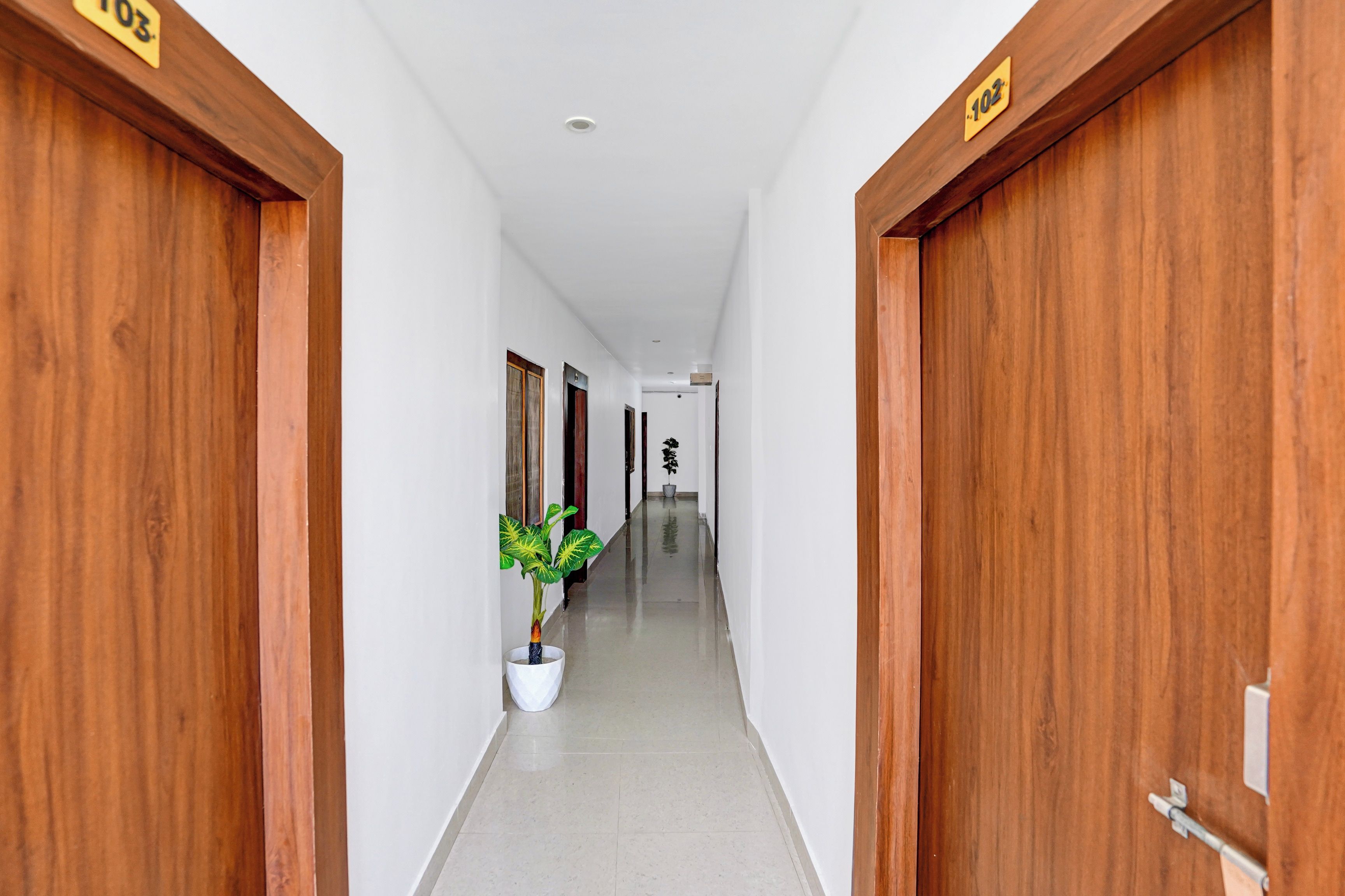 A hallway with wooden doors, a potted plant, and a sign indicating room numbers.