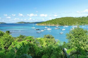 Un puerto deportivo costero con barcos, abundante vegetación y cielo despejado.