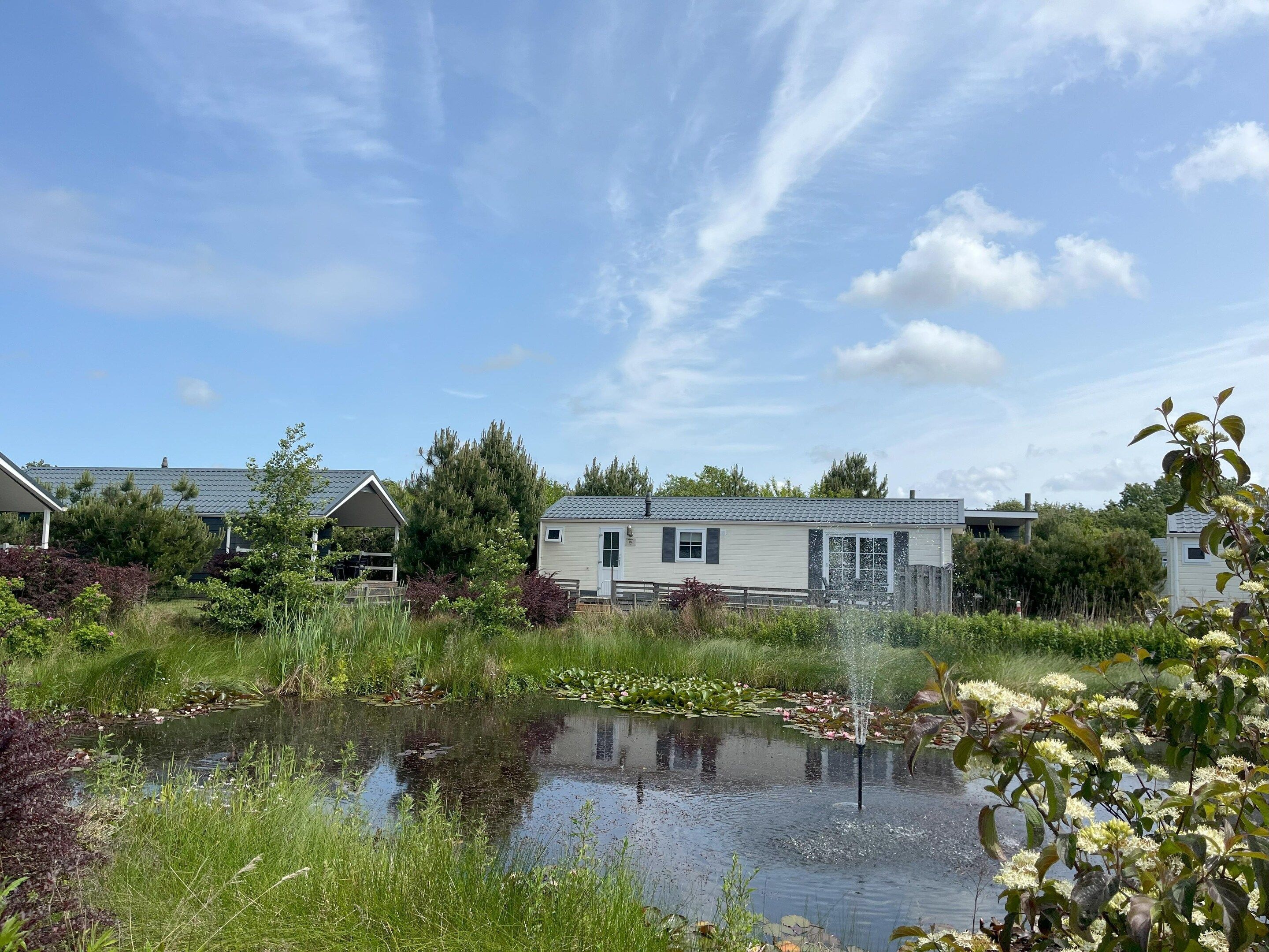 A residential area with houses, a pond with lily pads, and a clear sky.