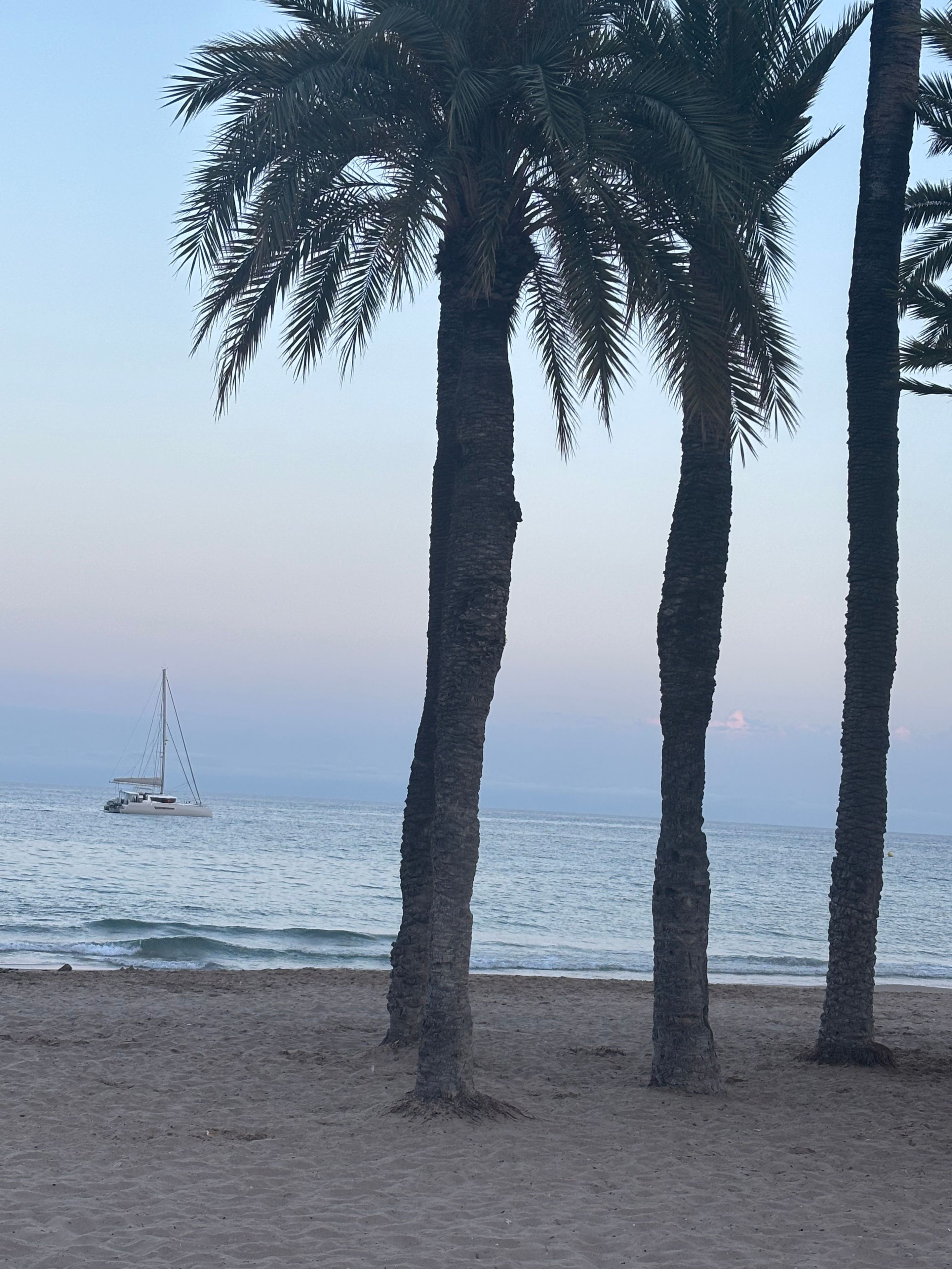 Una playa con palmeras y un velero a lo lejos.