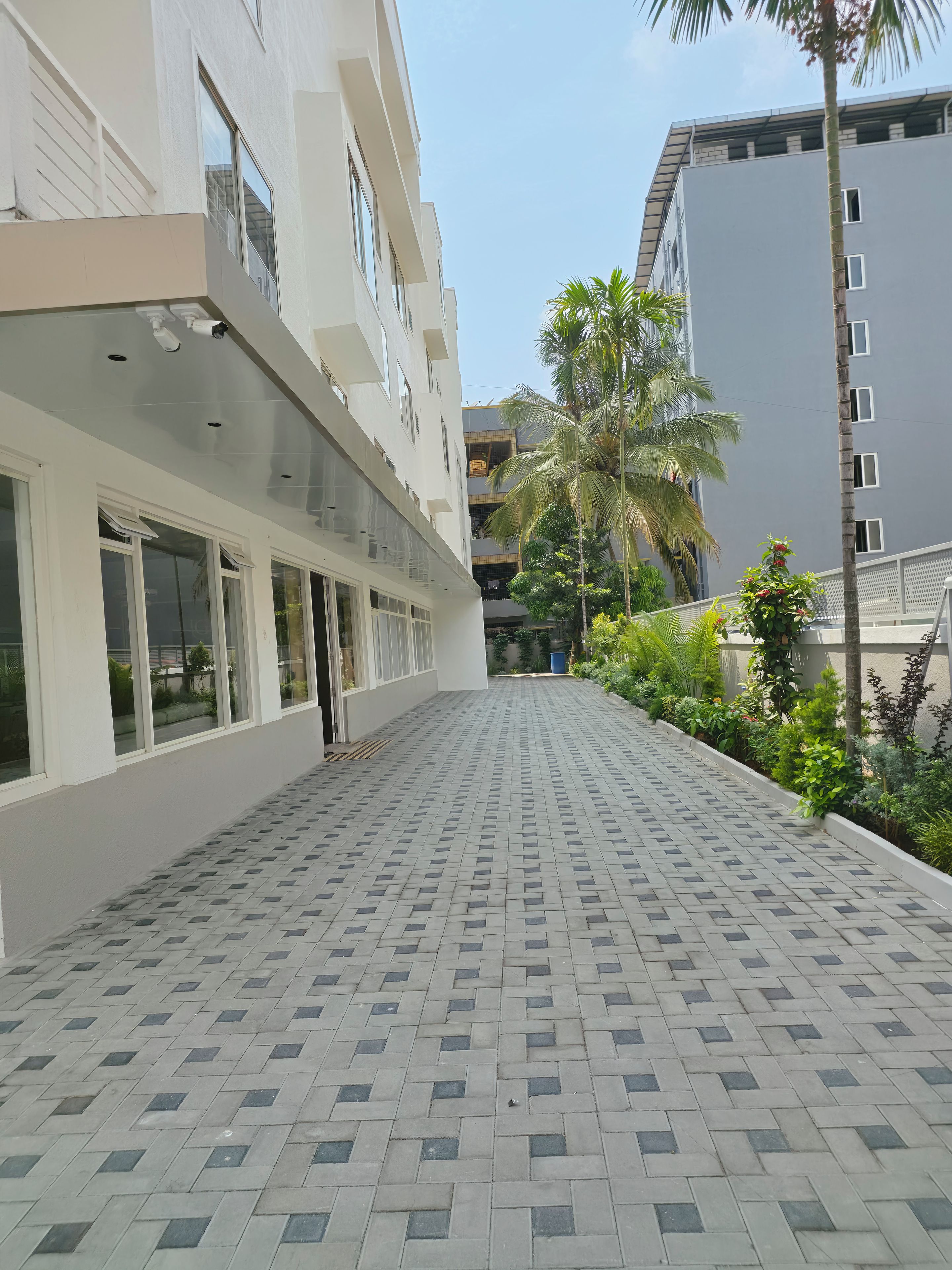 Un edificio con paseo empedrado, grandes ventanales y una palmera.