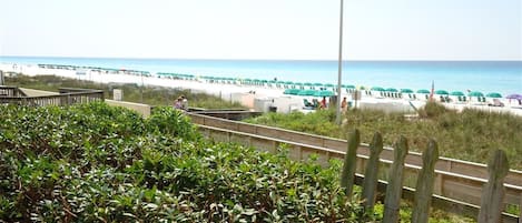 A beach with a row of umbrellas and a flagpole.