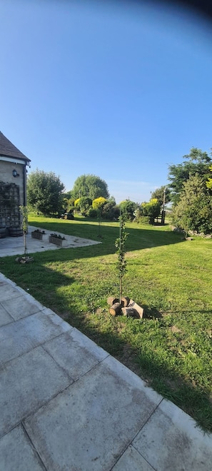 A residential area with a paved driveway, a lawn, and a small tree.