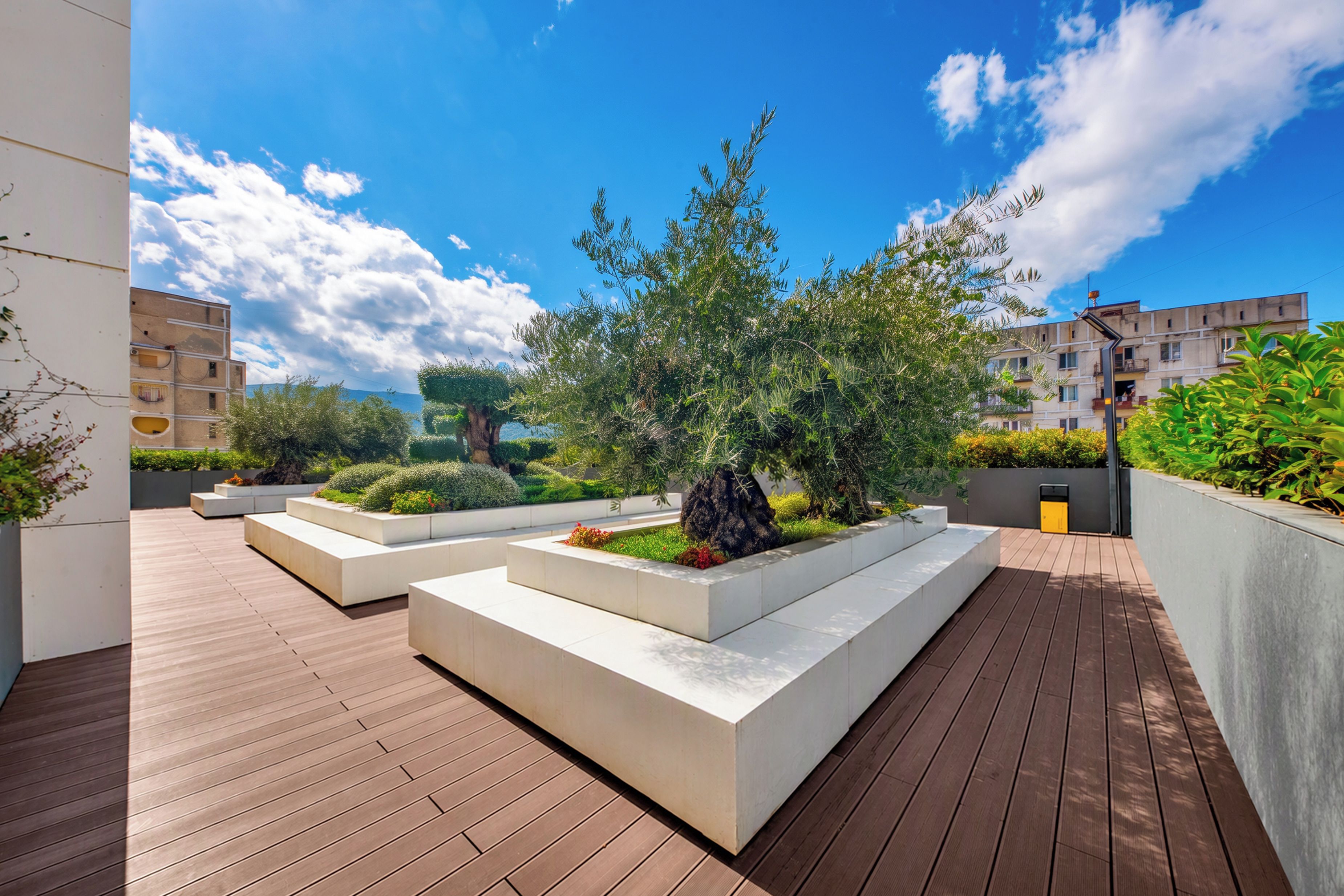 A rooftop garden with wooden decking, planters, and a variety of shrubs and trees.