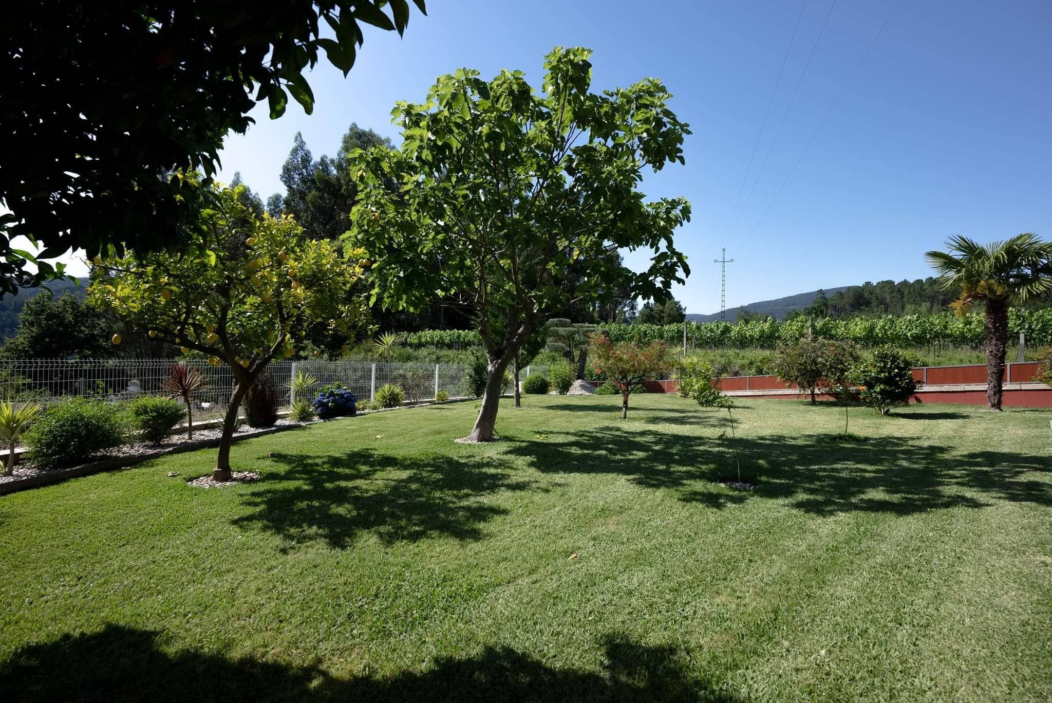 Un área verde bien cuidada con árboles y una cerca.