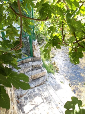 A stone staircase leading to a stone wall, surrounded by green foliage. - House with large garden, right next to the river (Žrnovnica)
