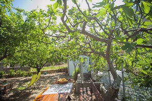 A garden with a wooden table, chairs, and a small shed. - House with large garden, right next to the river (Žrnovnica)