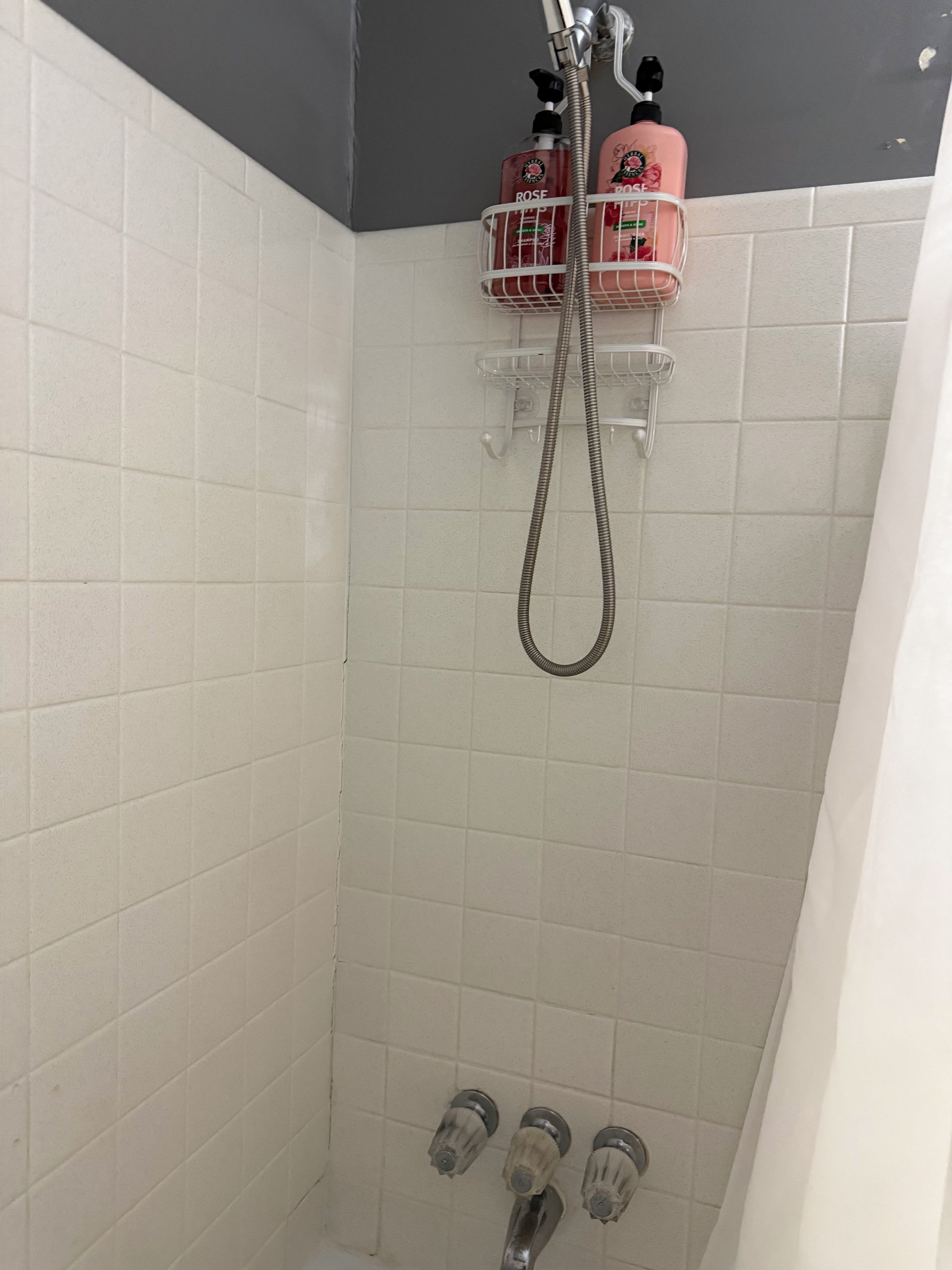A shower area with white tiles, a showerhead, and two bottles of shampoo on a shelf.