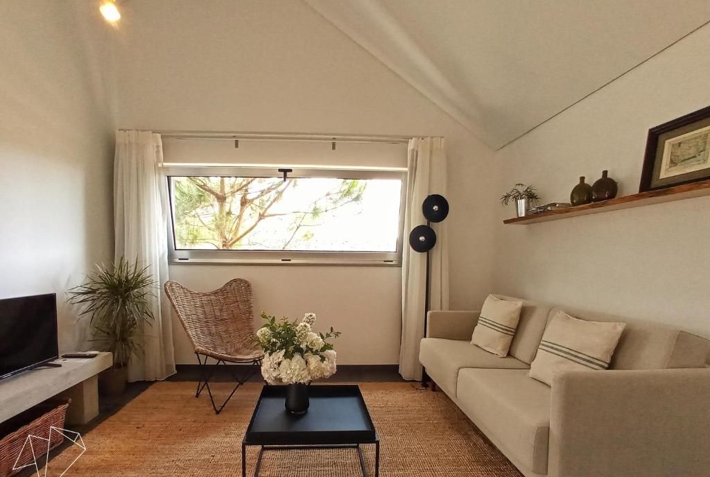 A living room with a sofa, a chair, a coffee table, a TV, and a window with curtains.