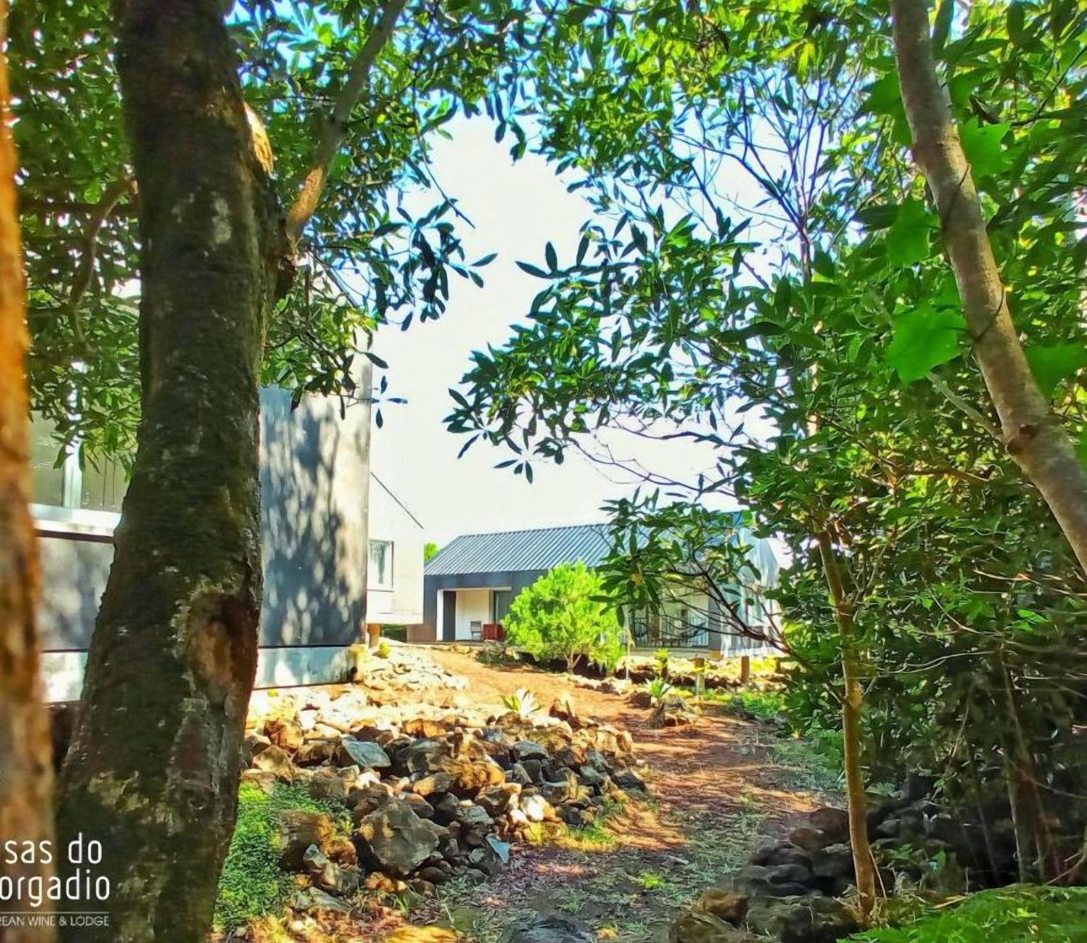 A rustic stone pathway leading to a modern building with a sloped roof, surrounded by lush greenery and trees.