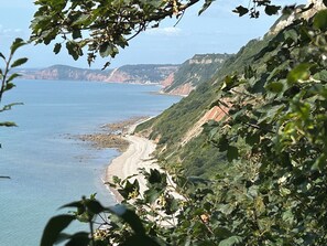 A coastal landscape with a beach, cliffs, and vegetation. - Hole House (Seaton)