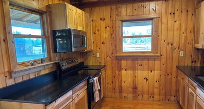 Perfect 4-bedroom lodge right on the Carp River in Brevort Township, MI
