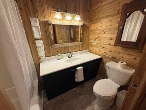 Une salle de bain avec un mur en bois, un lavabo, un miroir et des toilettes.