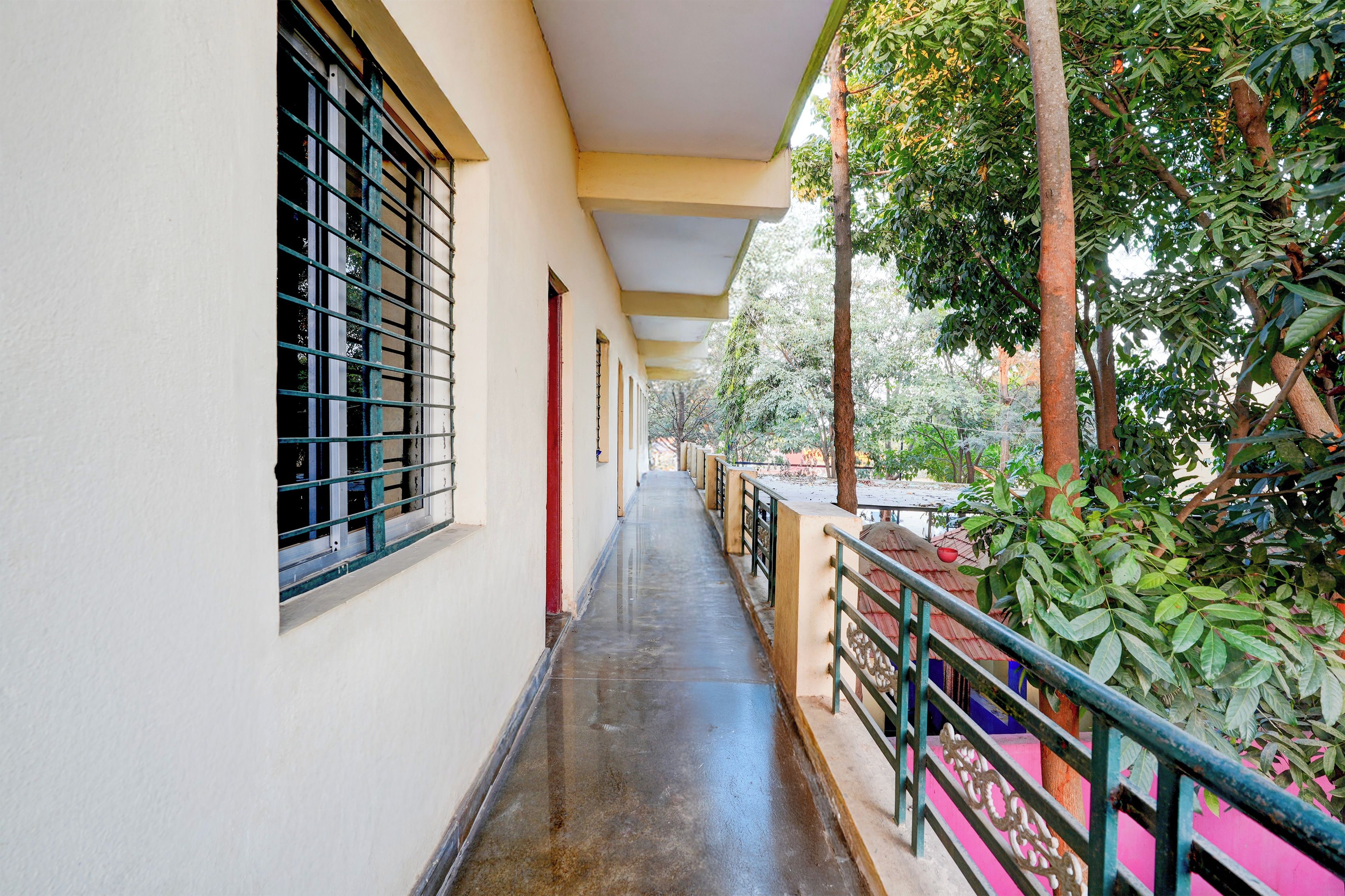 A corridor with windows, a covered walkway, and greenery.