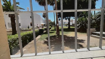 A view through a window with a grid pattern, featuring outdoor seating areas, trees, and a clear sky.