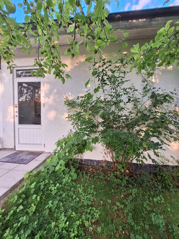 A white building with a door and a small tree in front.