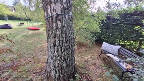 A tree with a swing, a bench, and a picnic table with food.