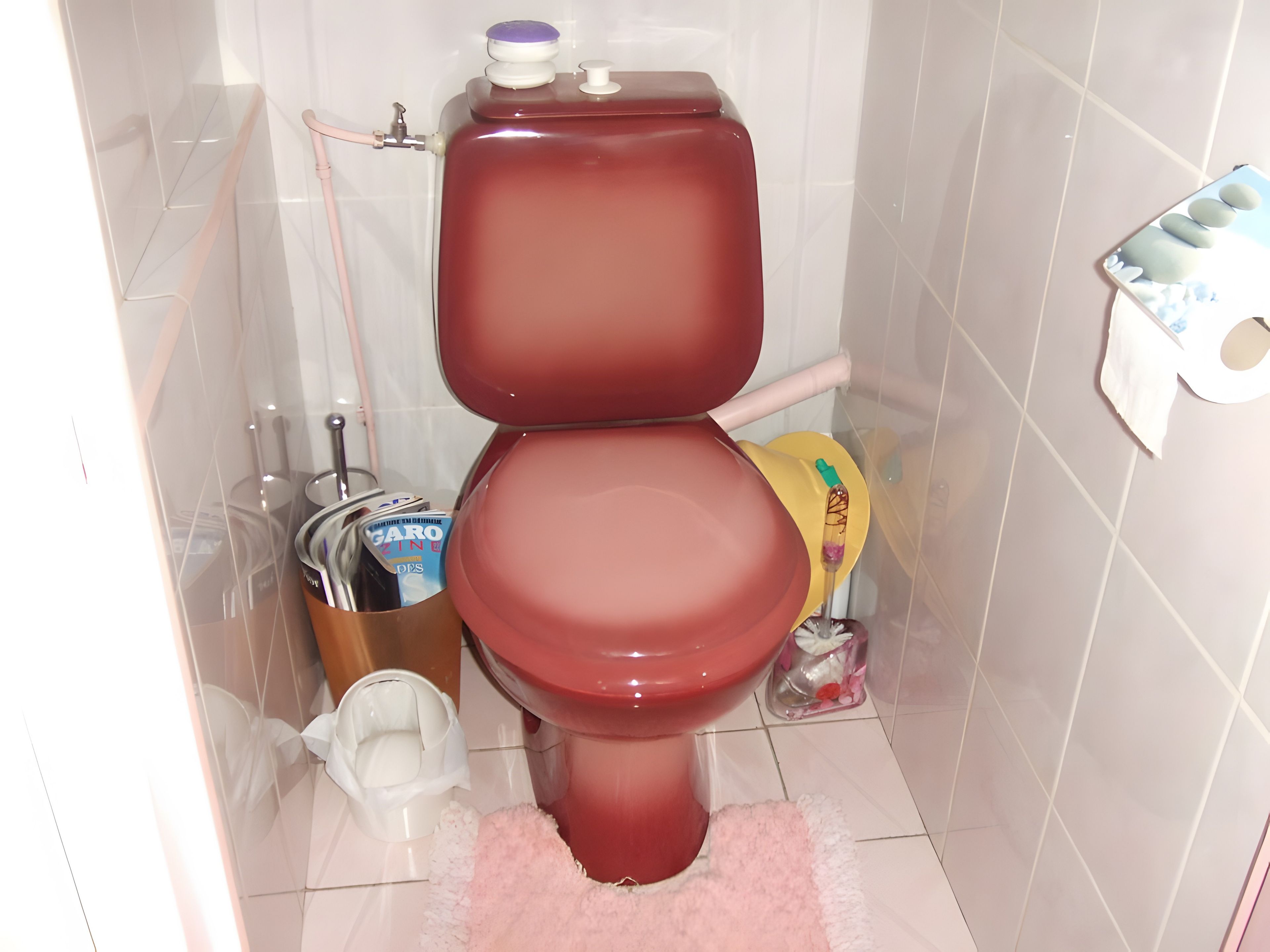 Une salle de bain avec des toilettes rouges, une poubelle blanche et un tapis rose.