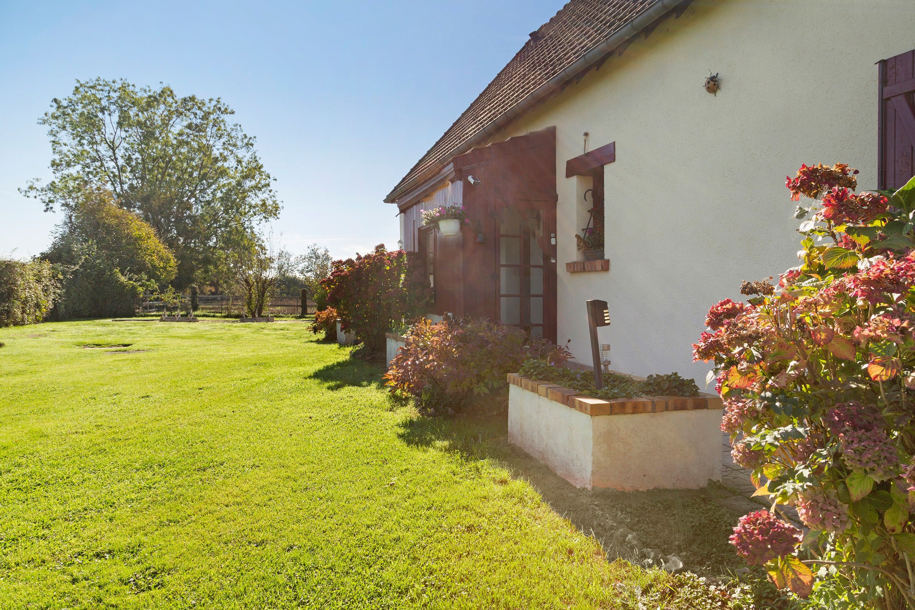 A house with a well-maintained lawn, a wooden door, and a window with a flower box.
