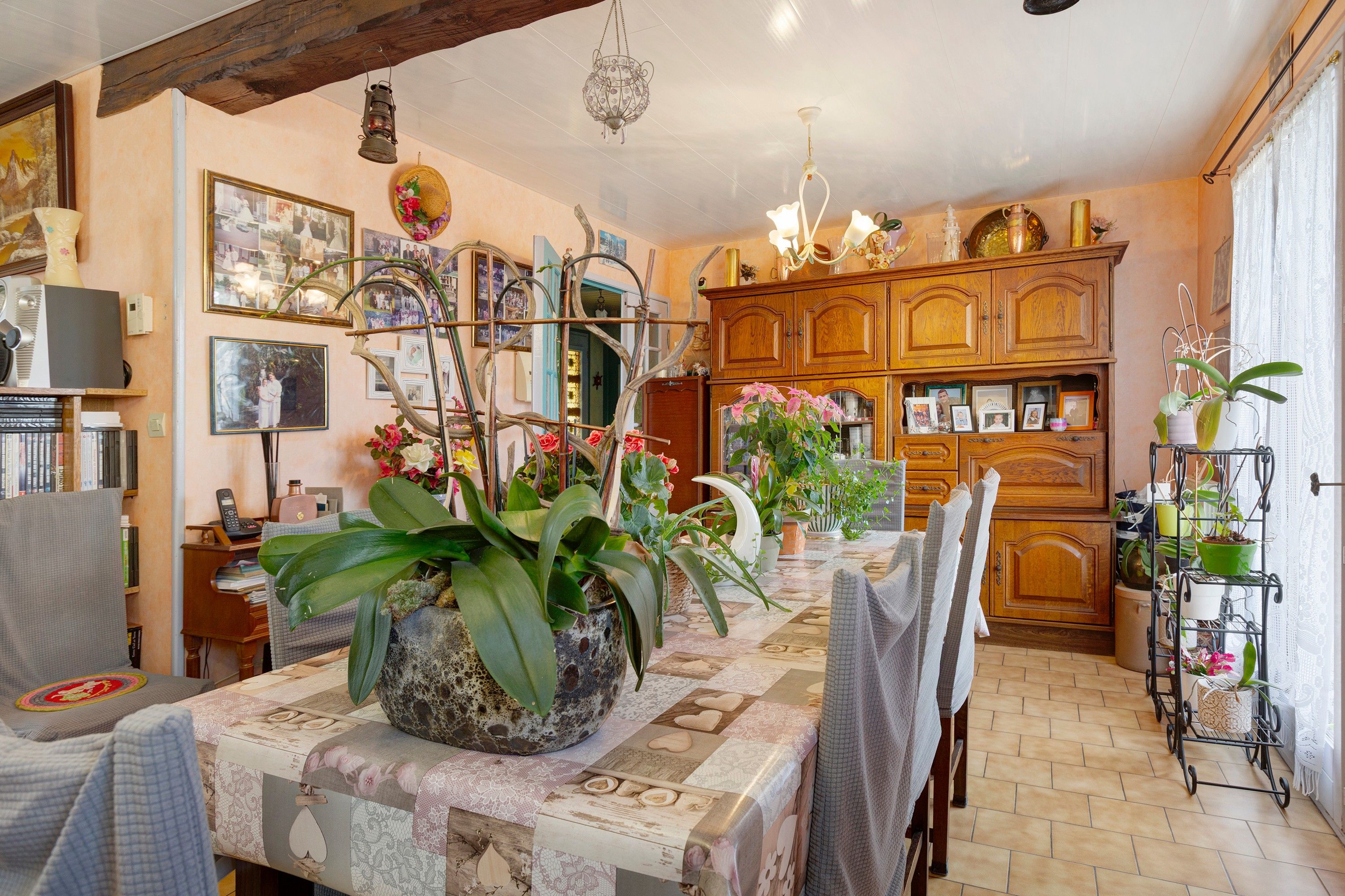 Un'accogliente sala da pranzo con un tavolo in legno, sedie e diverse piante in vaso.