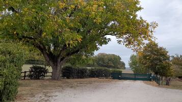 Une allée de gravier mène à une zone fermée par un portail, où se trouvent un grand arbre et un cheval.