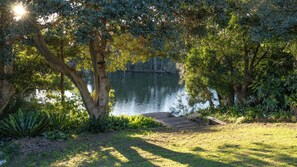 Un cadre paisible au bord d’un lac, avec une jetée en bois qui mène à l’eau, le tout entouré d’une végétation luxuriante et d’arbres.