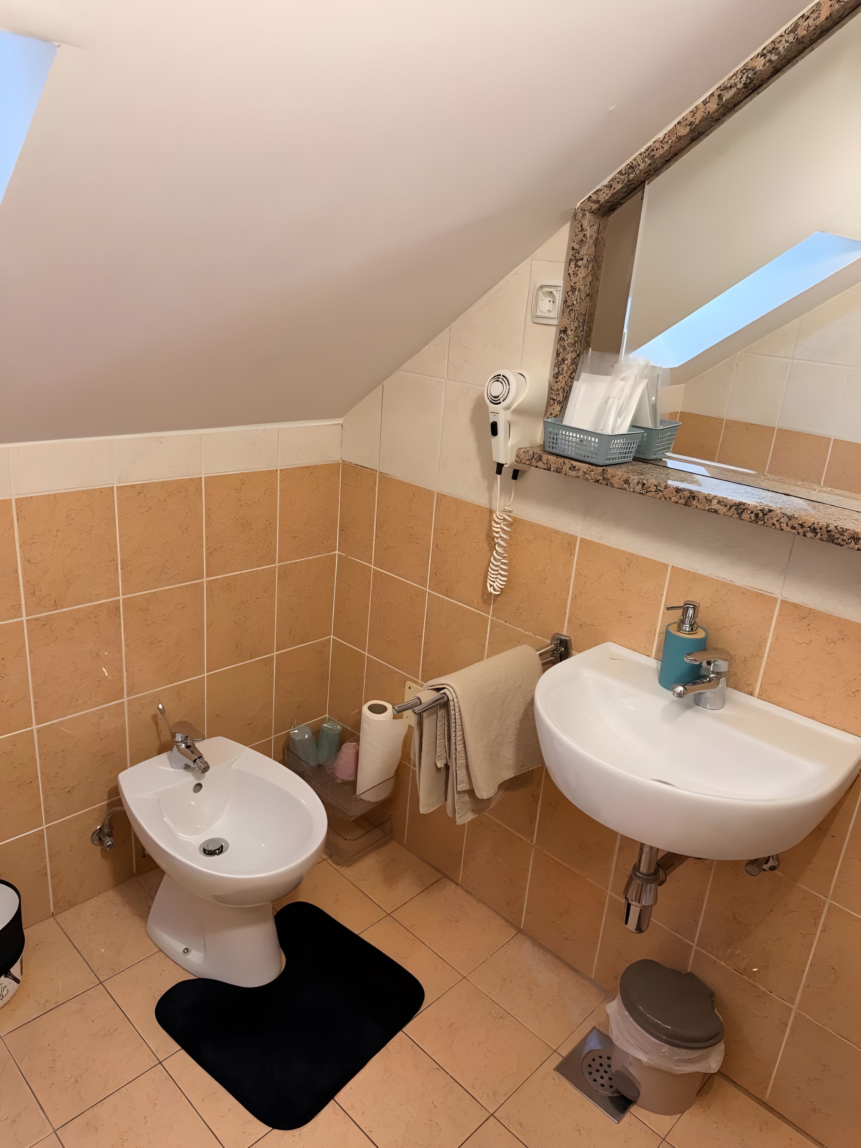 A bathroom with a bidet, a sink, a mirror, and a towel rack.