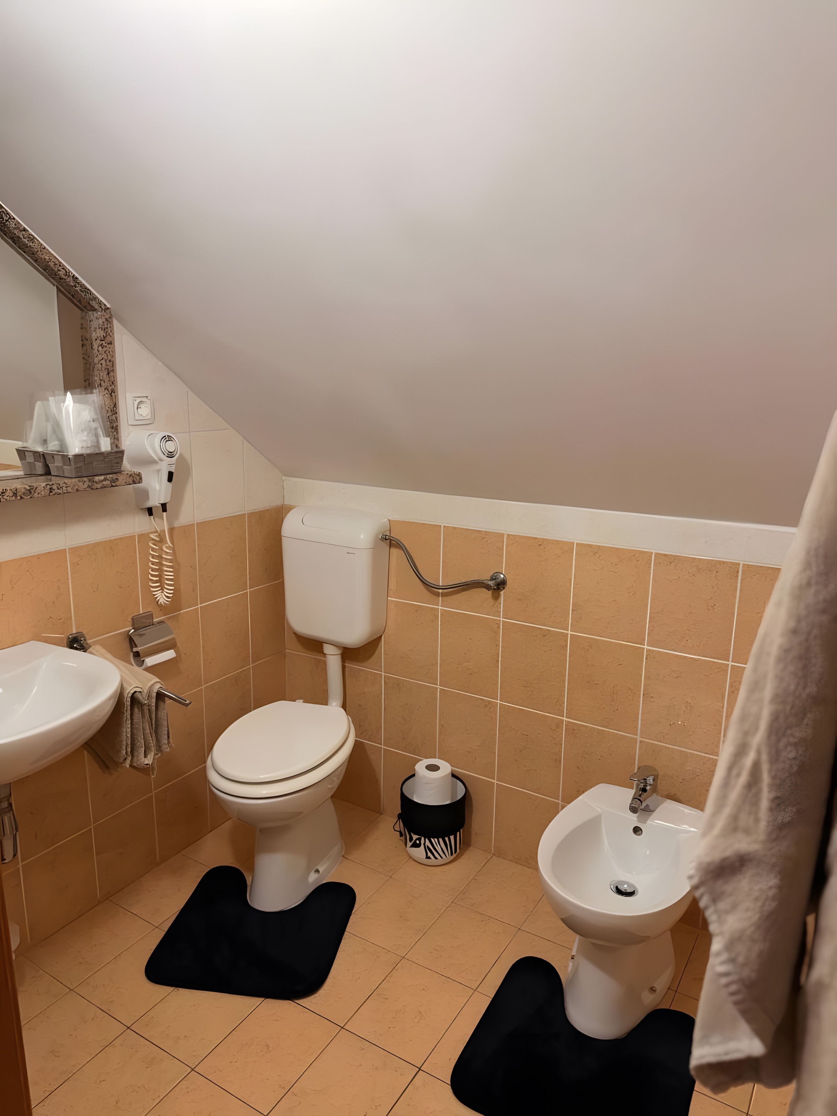 Een badkamer met toilet, wastafel en hygiëneschuimer, voorzien van een haardroger en toiletrolhouder.