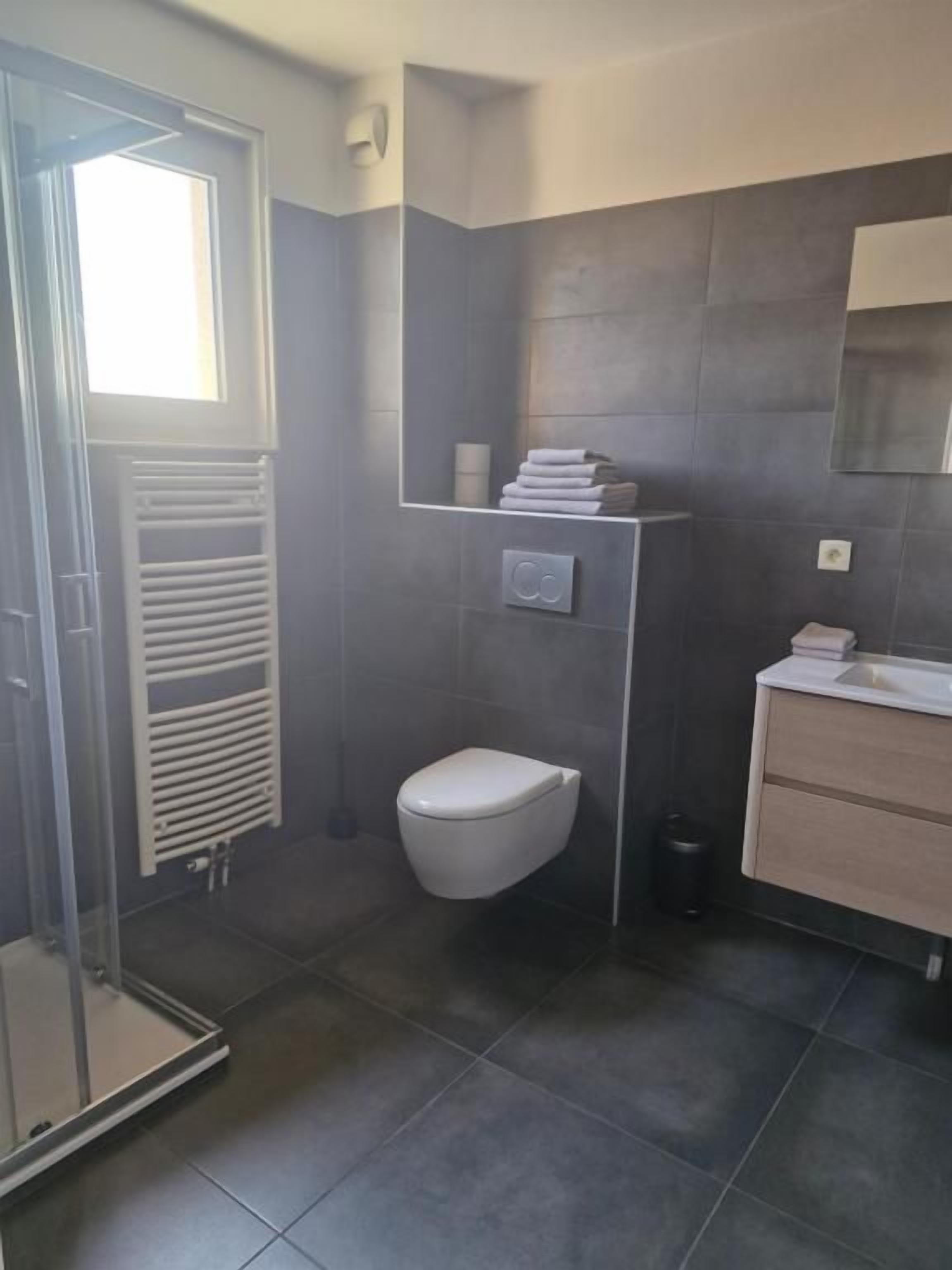 A modern bathroom with a glass shower enclosure, a toilet, and a vanity with a mirror.