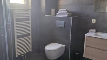 A modern bathroom with a glass shower enclosure, a toilet, and a vanity with a mirror.