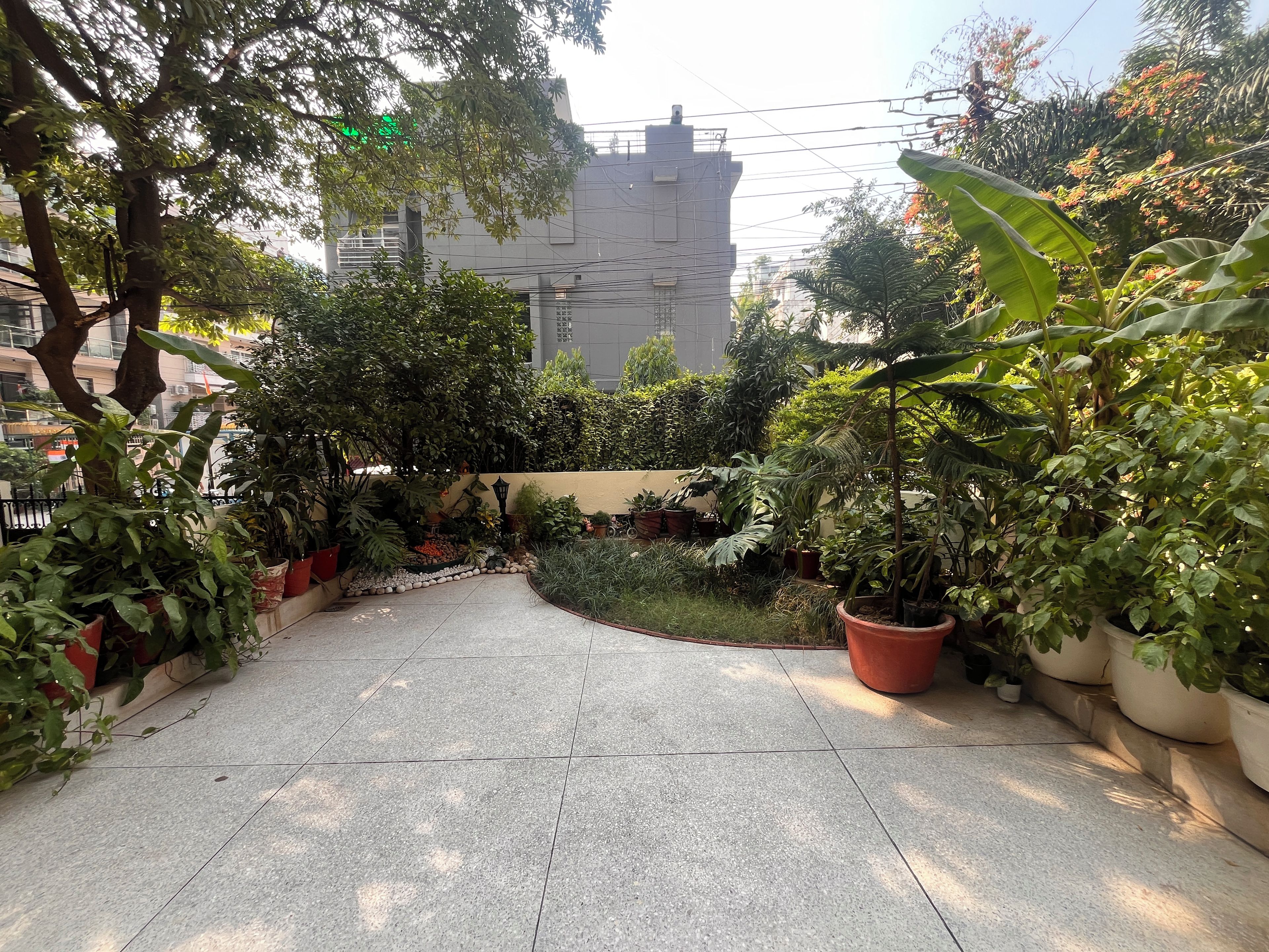 Un sendero pavimentado bordeado por macetas con plantas y árboles, que conduce a un edificio de fachada gris.