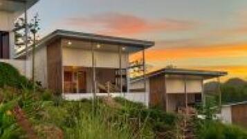 A modern house with a flat roof, large windows, and a well-maintained garden.