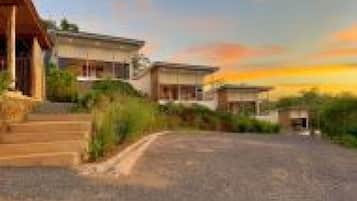 A modern residential property with a driveway leading to a house, surrounded by greenery.
