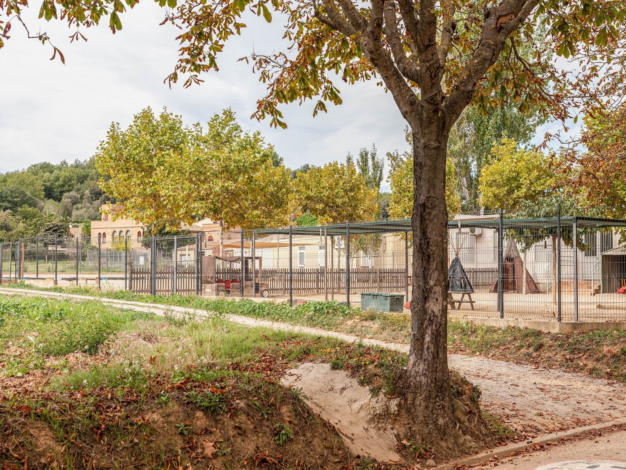 A fenced outdoor area with a dirt path, trees, and a building in the background.