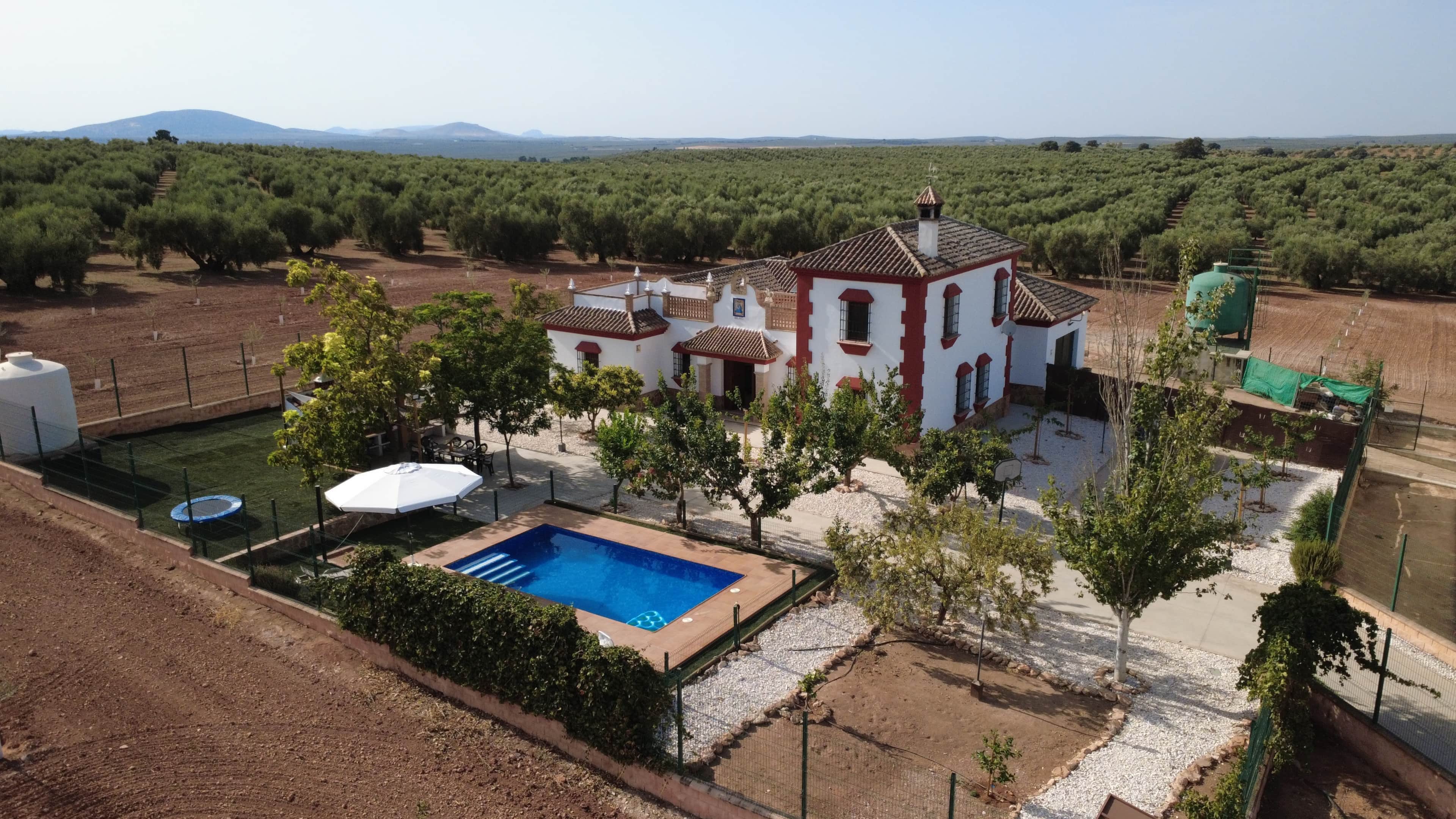 A villa with a swimming pool, surrounded by olive groves and a clear view of distant mountains.