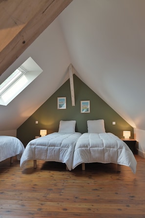 A bedroom with two beds, a sloped ceiling, and a skylight.