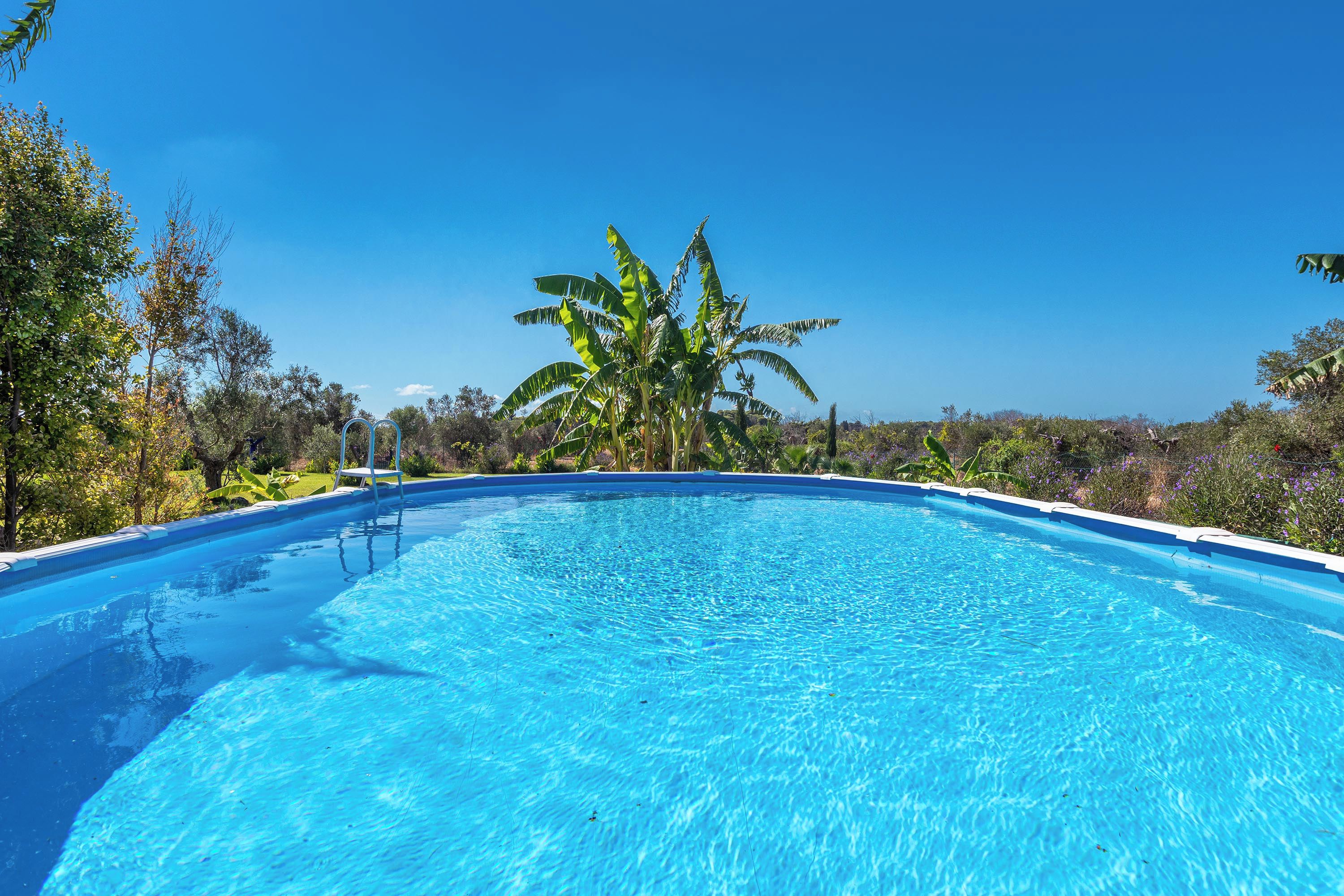 Une piscine d’eau cristalline, entourée d’une végétation luxuriante et d’arbres.