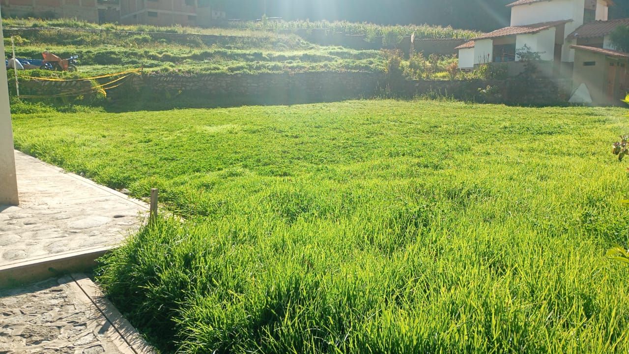 A grassy field with a building in the background.