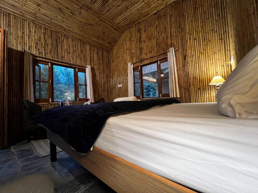 A room with a bed, windows, and a lamp.