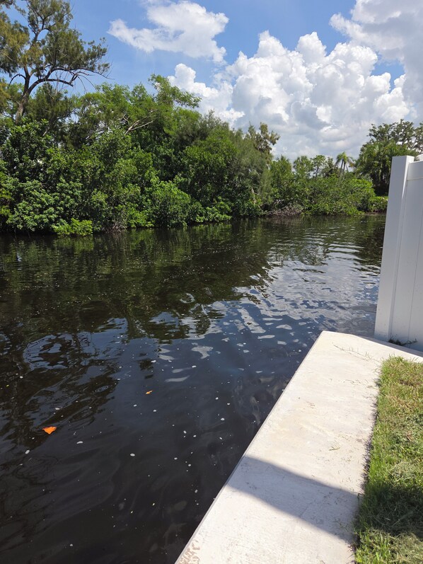 Unclassified image, 1 of 78, button - 4 bedroom, heated pool and canal access (Apollo Beach)