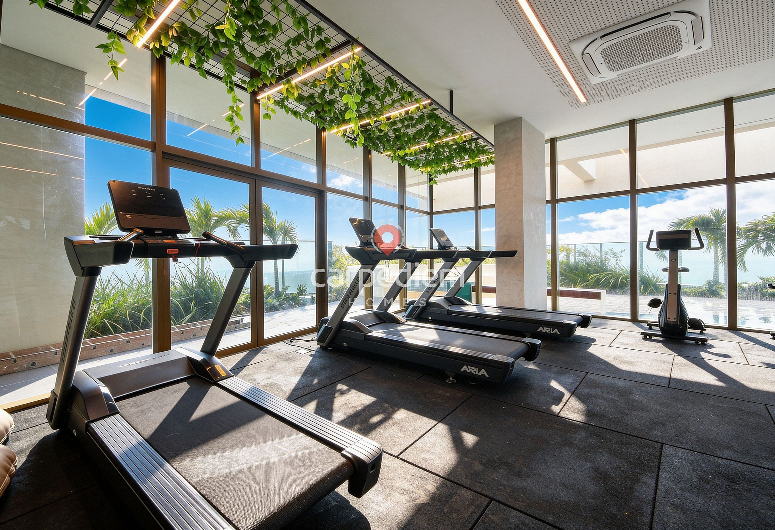Un gimnasio con cintas de correr, una bicicleta estática y una máquina de remo, con ventanas amplias y plantas de interior.