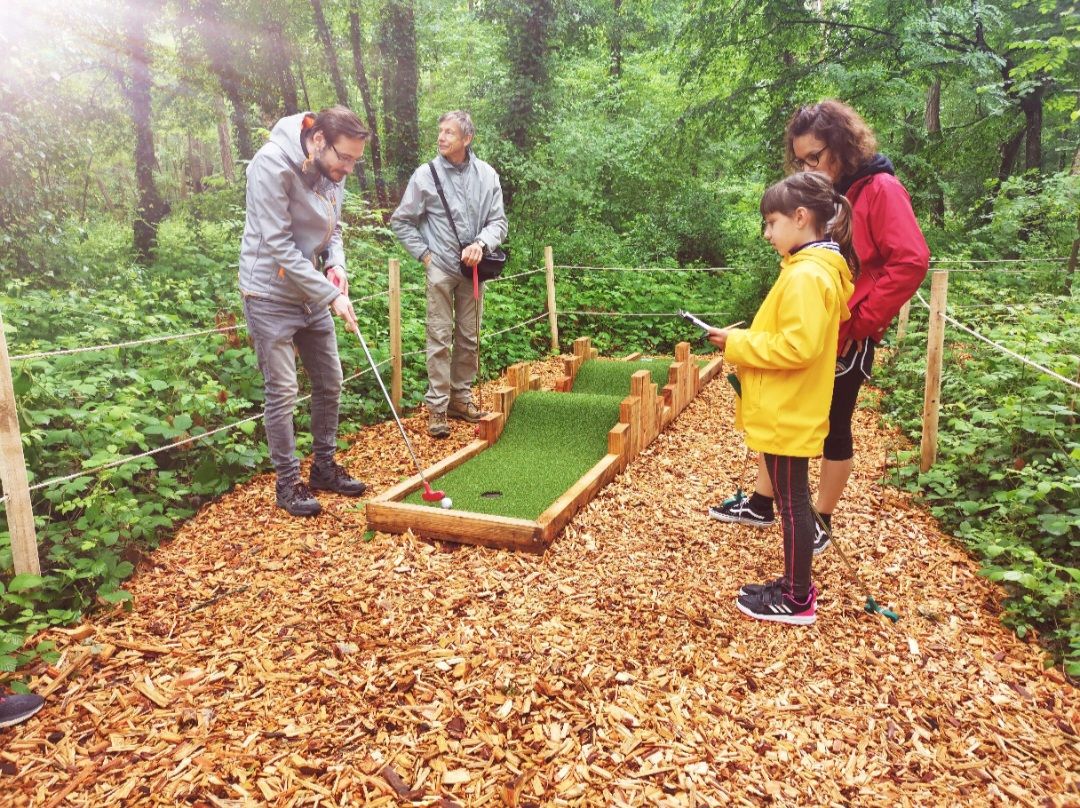 Un groupe de personnes joue au croquet dans une zone boisée, sur un petit terrain délimité par une clôture.