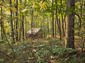 Una cabaña rústica rodeada de un bosque denso.