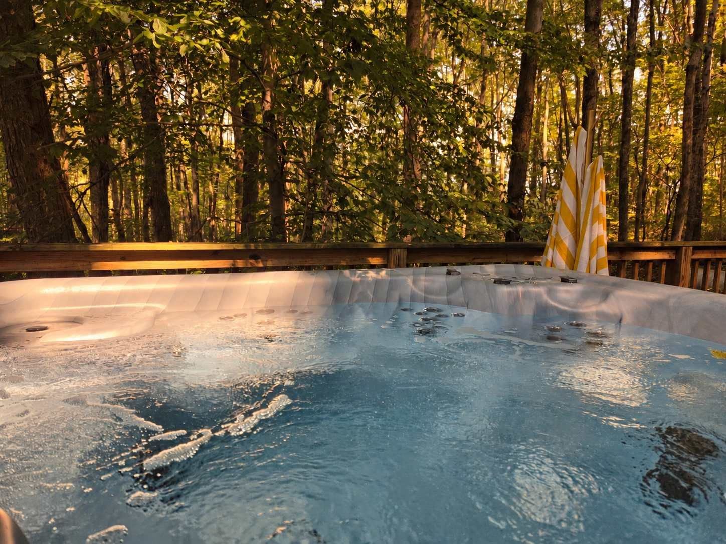 A hot tub surrounded by trees in a forested area.