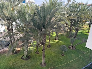 A well-maintained garden with palm trees and a neatly trimmed lawn. - Comfortable , quiet , and beautiful apartment. (Agadir)