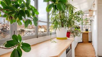 Una cocina con encimera de madera, ventanas amplias y plantas en macetas.
